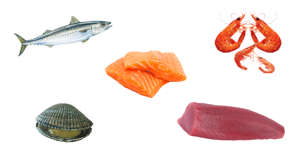 Fisk och skaldjur